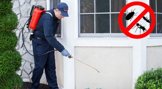 Hocalar Gümüşkurt İlaçlama böcek ilaçlama ve haşere kontrolü — ilaclama-tr.com